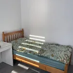 A Spacious Room Near The City Center